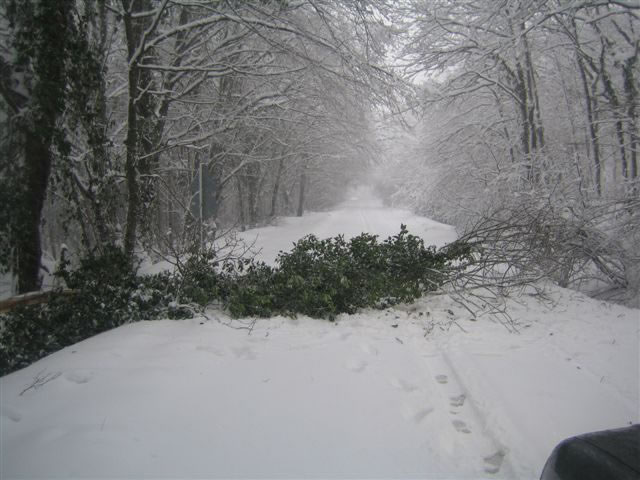 Fotoğraf Galerisi | Kış Lastiği Web Sitesi – Kış Lastiği Hakkında Herşey