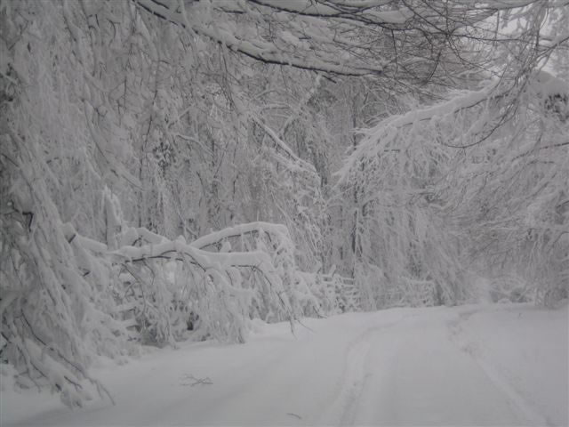 Fotoğraf Galerisi | Kış Lastiği Web Sitesi – Kış Lastiği Hakkında Herşey
